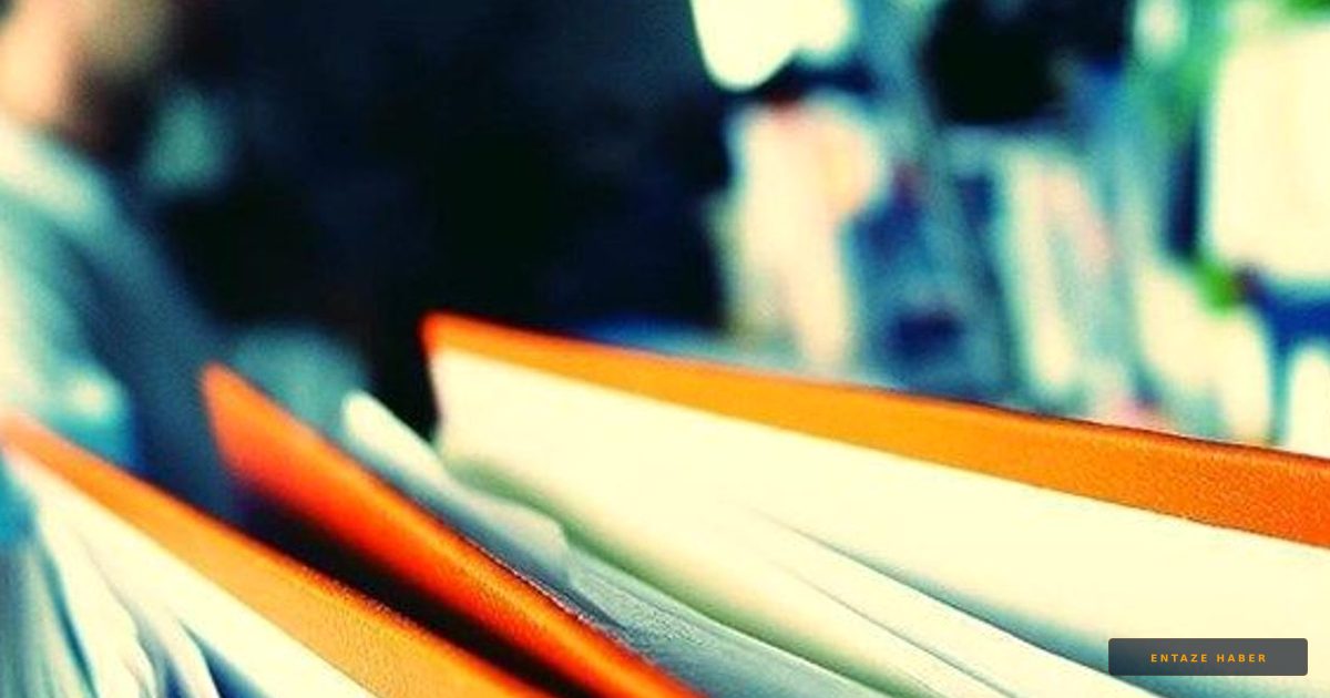 12 Yıllık Sır Perdesi DNA Testiyle Yırtıldı: Bayrampaşa Cinayetinde Şok Gelişme