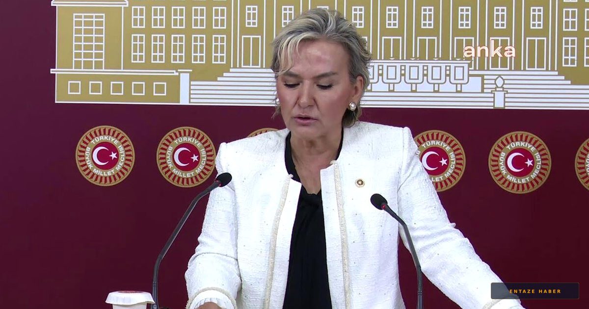 CHP'de Şok Ayrılık: Nimet Özdemir İstifa Etti