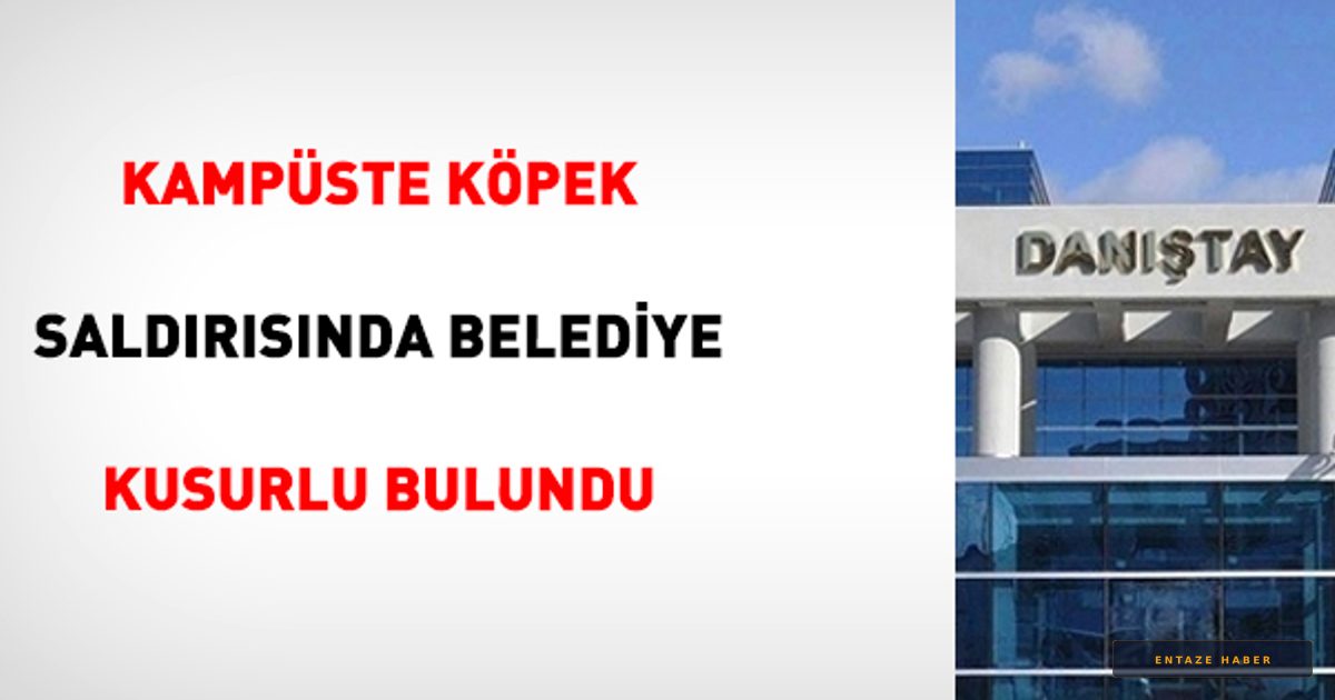 Kampüste Köpek Saldırısı Davasında Danıştay Son Noktayı Koydu: Belediye Sorumlu Tutuldu
