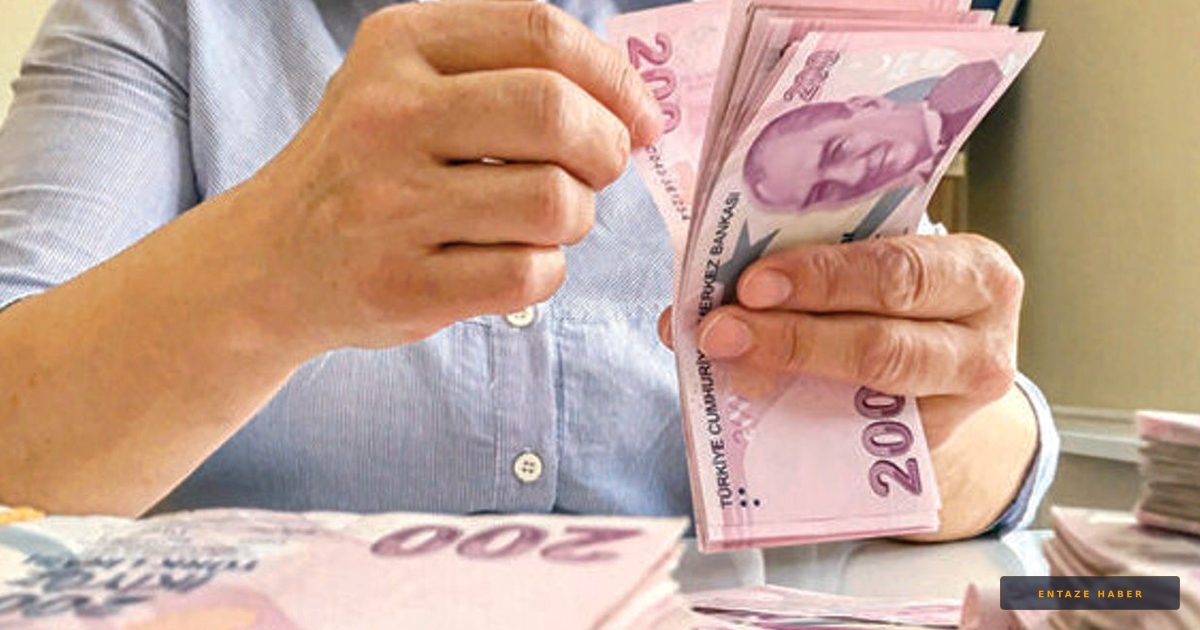 Memurların Temmuz Maaş Bordroları Yayında: Zamlı Ödemeler İçin e-Devlet Kapısı Açıldı